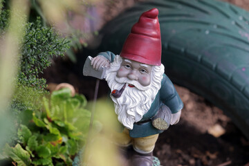 garden gnome, gnome