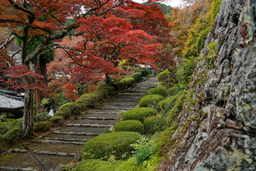 紅葉に彩られた石段