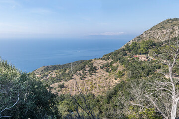 Obraz premium terracing on steep slopes at Maddalena cape, Argentario, Italy