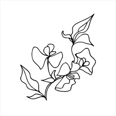 Vector contour illustration of a plant. Linear flower drawing