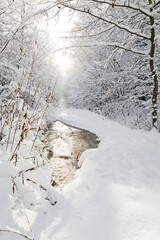 Beautiful winter landscape with pathway and northern sun in coniferous forest