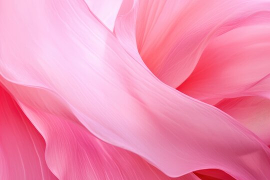 Bright macro close-up of pink flower petal. Beautiful abstract color pink and white flowers background, Gentle artistic image of purity and beauty of nature.