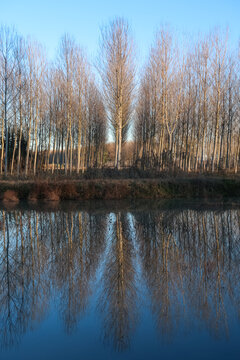 Oxbow small artificial lake Po Valley trees reflection