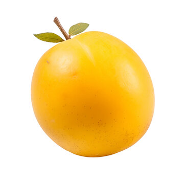 Marula fruit isolated transparent background. Generative Ai.