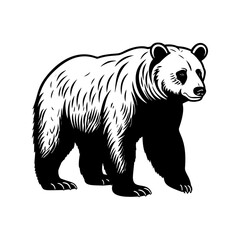 Vector illustration of a black silhouette bear. Isolated white background. Icon bear side view profile.	