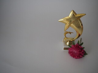 A gold star. The reward for the best achievements. High quality photo