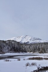 Obraz premium Blick an Ötscher vom Erlaufstausee im Winter, vertikal