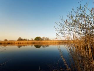 Fototapeta premium Großer Wörthsee und Sichelsee im Naturschutzgebiet Mainaue bei Augsfeld, Stadt Haßfurt, Landkreis Hassberge, Unterfranken, Franken, Bayern, Deutschland