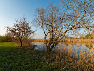 Großer Wörthsee und Sichelsee im Naturschutzgebiet Mainaue bei Augsfeld, Stadt Haßfurt, Landkreis Hassberge, Unterfranken, Franken, Bayern, Deutschland