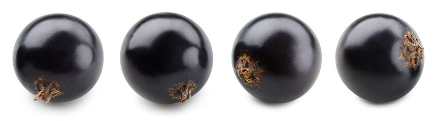 Collection black currant isolated on white background