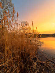 Großer Wörthsee und Sichelsee im Naturschutzgebiet Mainaue bei Augsfeld, Stadt Haßfurt, Landkreis Hassberge, Unterfranken, Franken, Bayern, Deutschland