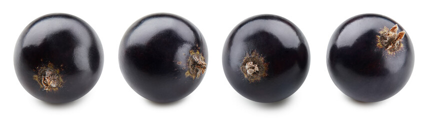 Black currant isolated on white background