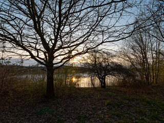 Großer Wörthsee und Sichelsee im Naturschutzgebiet Mainaue bei Augsfeld, Stadt Haßfurt, Landkreis Hassberge, Unterfranken, Franken, Bayern, Deutschland