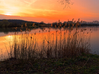 Großer Wörthsee und Sichelsee im Naturschutzgebiet Mainaue bei Augsfeld, Stadt Haßfurt, Landkreis Hassberge, Unterfranken, Franken, Bayern, Deutschland