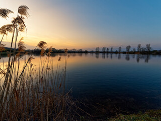 Obraz premium Großer Wörthsee und Sichelsee im Naturschutzgebiet Mainaue bei Augsfeld, Stadt Haßfurt, Landkreis Hassberge, Unterfranken, Franken, Bayern, Deutschland