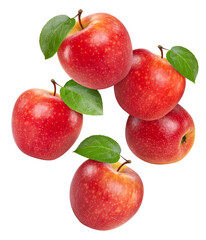 Fresh red apple leaf isolated on white