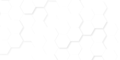 Fototapeta premium Abstract background with hexagon, modern abstract vector polygonal pattern. Futuristic abstract honeycomb technology white background. Luxury white hexagon pattern.