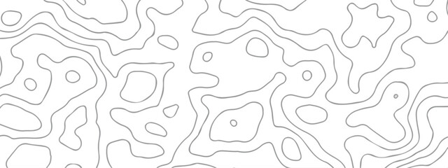 Abstract white paper wave background with lines. Background of the topographic map. White wave paper curved reliefs abstract background.  Abstract Vector geographic contour map and topographic map.