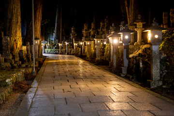 Fototapeta na wymiar Stone lantern trail in Okunoin cemetery