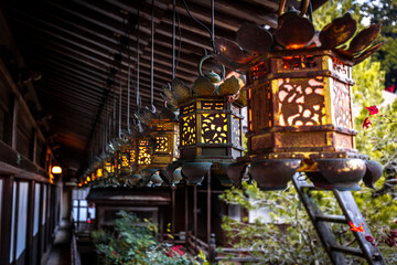 Fototapeta premium Japanese lanterns in a temple on mount koya
