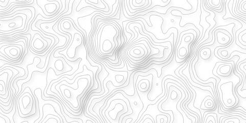 Abstract white paper wave background with lines. Background of the topographic map. White wave paper curved reliefs abstract background.  Abstract Vector geographic contour map and topographic map.