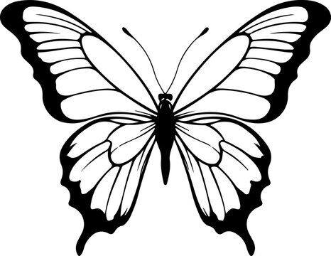 Butterfly black vector
