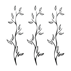 Set of wild plants, branches on a white background.