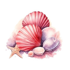 Transparent seashells decoration clipart composition background - obrazy, fototapety, plakaty