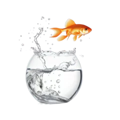 Fotobehang goldfish jumping out of water fishball © Ariestia