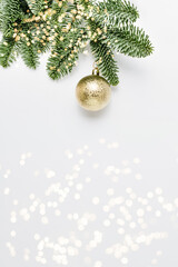 Fototapeta na wymiar Merry Christmas and Happy New Year. Christmas evergreen spruce noble fir tree and golden ball on festive white background. Copy space. Greeting card