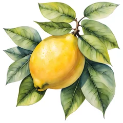 Foto op Plexiglas Watercolor of lemon isolate on white background © New generate