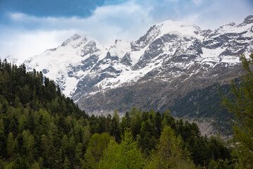 Fototapeta na wymiar Mountain landscape, snow peaks and forest