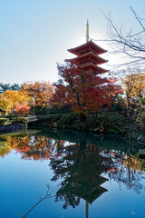 池に映る五重塔と紅葉