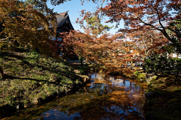 秋を彩る紅葉と寺院