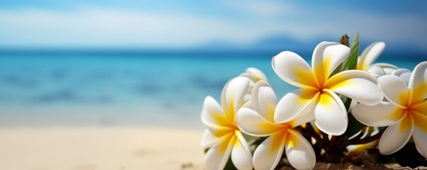 Fototapeta na wymiar Plumeria (Frangipani) on tropical sea and beach blue sky background, Summer festive time. Generative AI