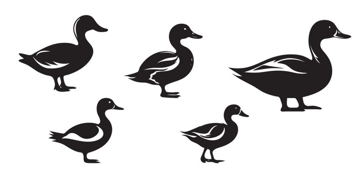 Duck vector silhouette