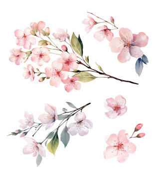 Cherry blossom invitation card design template. Watercolor cherry blossom invitation.