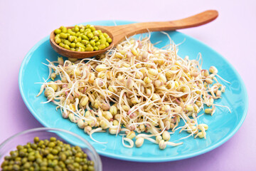 Mung Bean sprouts on the blue plate and in wooden spoon