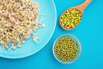 A plate with sprouted mung beans, dry mung beans in a glass bowl