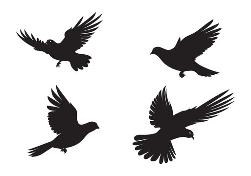 Silhouettes of pigeon flying vector