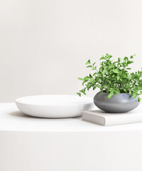 White round pedestal podium tray on counter, green tree in pot on book in sunlight for luxury cosmetic, skincare, beauty, body care, fashion product display background 3D