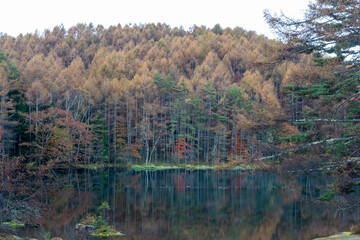 御射鹿池の紅葉