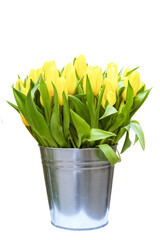 A large bouquet of yellow tulips. Spring mood. Isolated