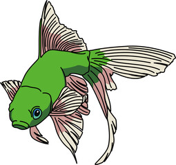 金魚（GoldFish）(PNG)