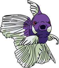 金魚（GoldFish）(PNG)