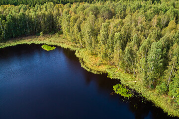 The green shore of a forest peat lake taken from a low height