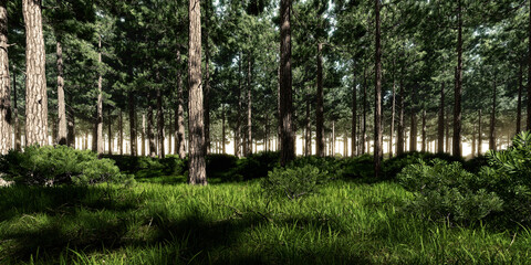 Forest with meadow. 3d rendering of landscaped vibrant background.