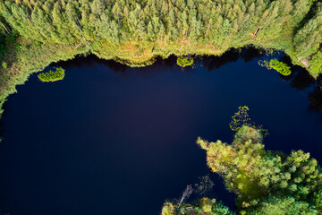 View from a copter of the green banks of a peat pond in the forest