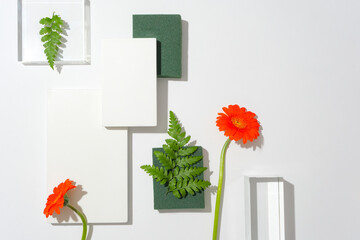 Fototapeta premium Top view of 3D podium display, white background with gerbera flowers and fern leaves. Minimal pedestal for beauty, cosmetic product. Space for copy.