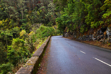 a mountain street in tropical madeira island